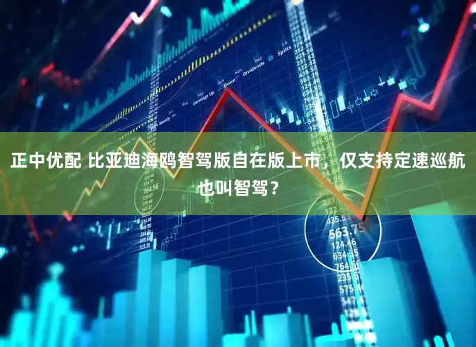 正中优配 比亚迪海鸥智驾版自在版上市，仅支持定速巡航也叫智驾？