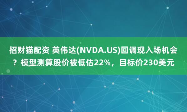 招财猫配资 英伟达(NVDA.US)回调现入场机会？模型测算股价被低估22%，目标价230美元