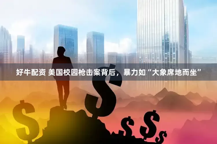 好牛配资 美国校园枪击案背后，暴力如“大象席地而坐”